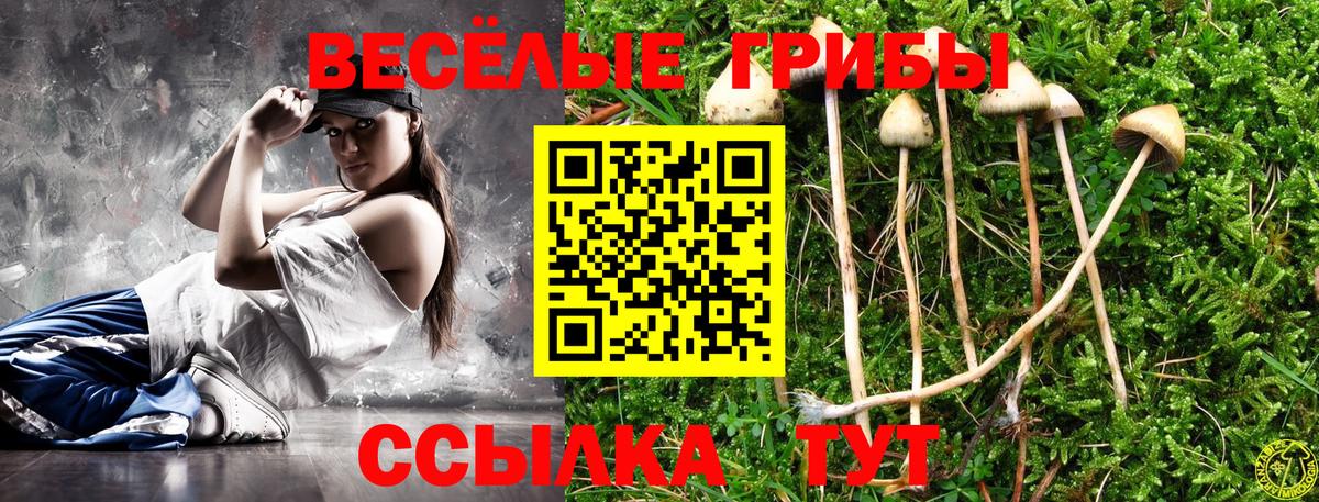 Псилоцибиновые грибы MAGIC MUSHROOMS Кувандык